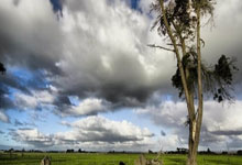 乐鱼：[天下足球]阿莫里姆到任 曼联开启新时代.