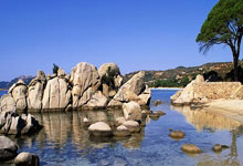 乐鱼:德天空:曼联尚未联系多特谈恩梅查,多特至少要价5000万欧.